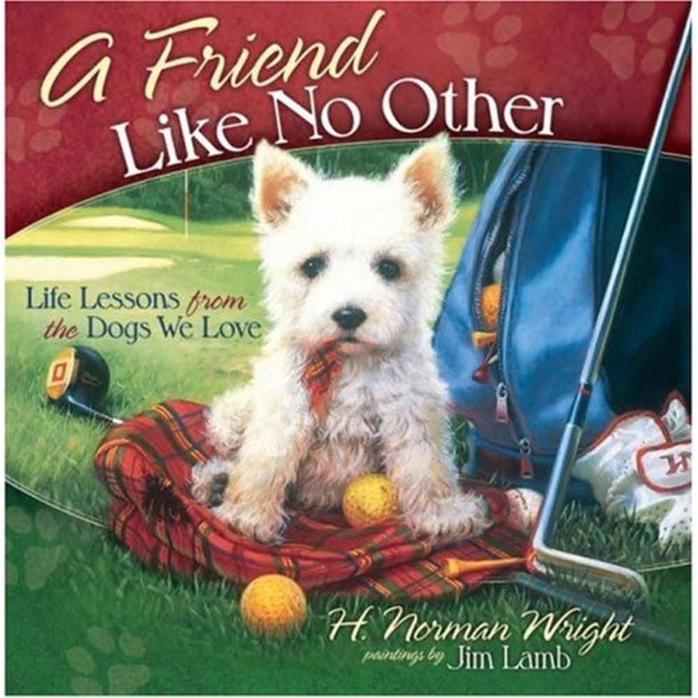 A Friend Like No Other: Life Lessons from the Dogs We Love  (Hardcover)